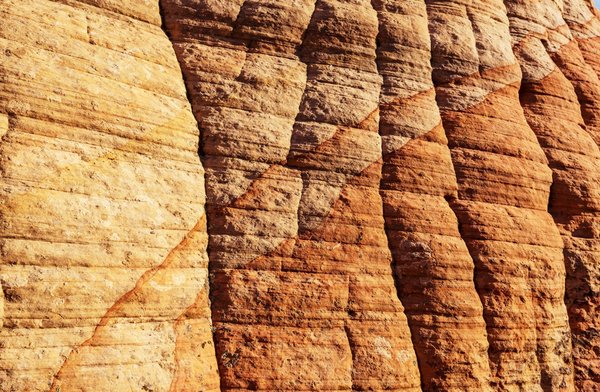 Quel diplôme pour être PDG ?